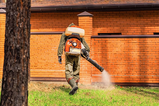 Trusted Rodent Control service in Westernport, MD - Nex Pest Control